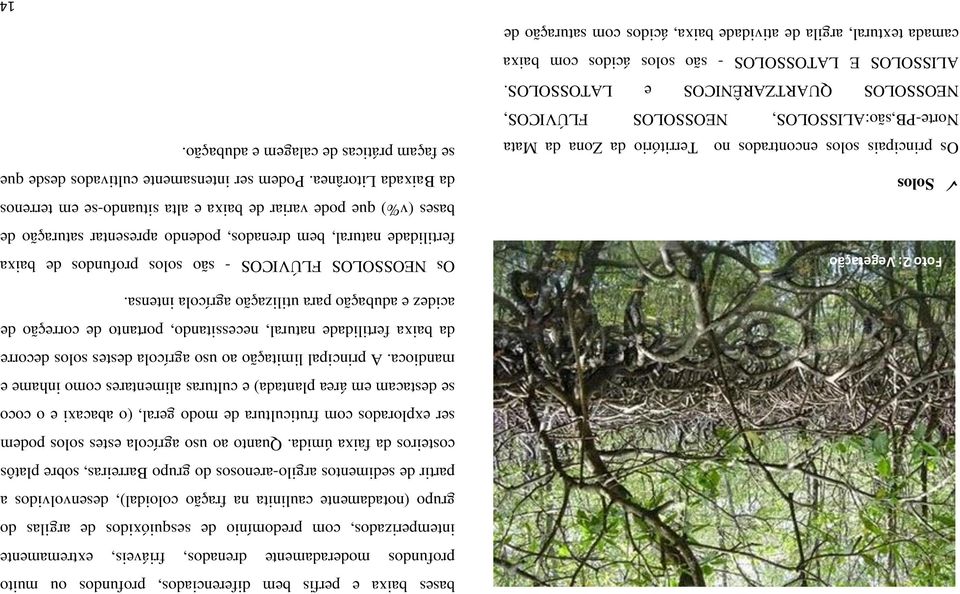 Quanto ao uso agrícola estes solos podem ser explorados com fruticultura de modo geral, (o abacaxi e o coco se destacam em área plantada) e culturas alimentares como inhame e mandioca.