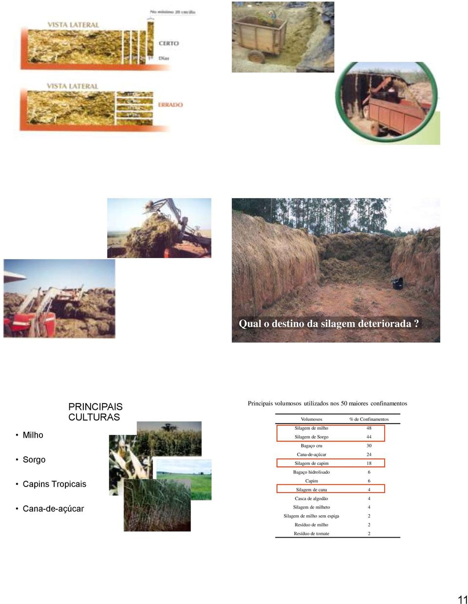 confinamentos Volumosos % de Confinamentos Silagem de milho 48 Silagem de Sorgo 44 Bagaço cru 30