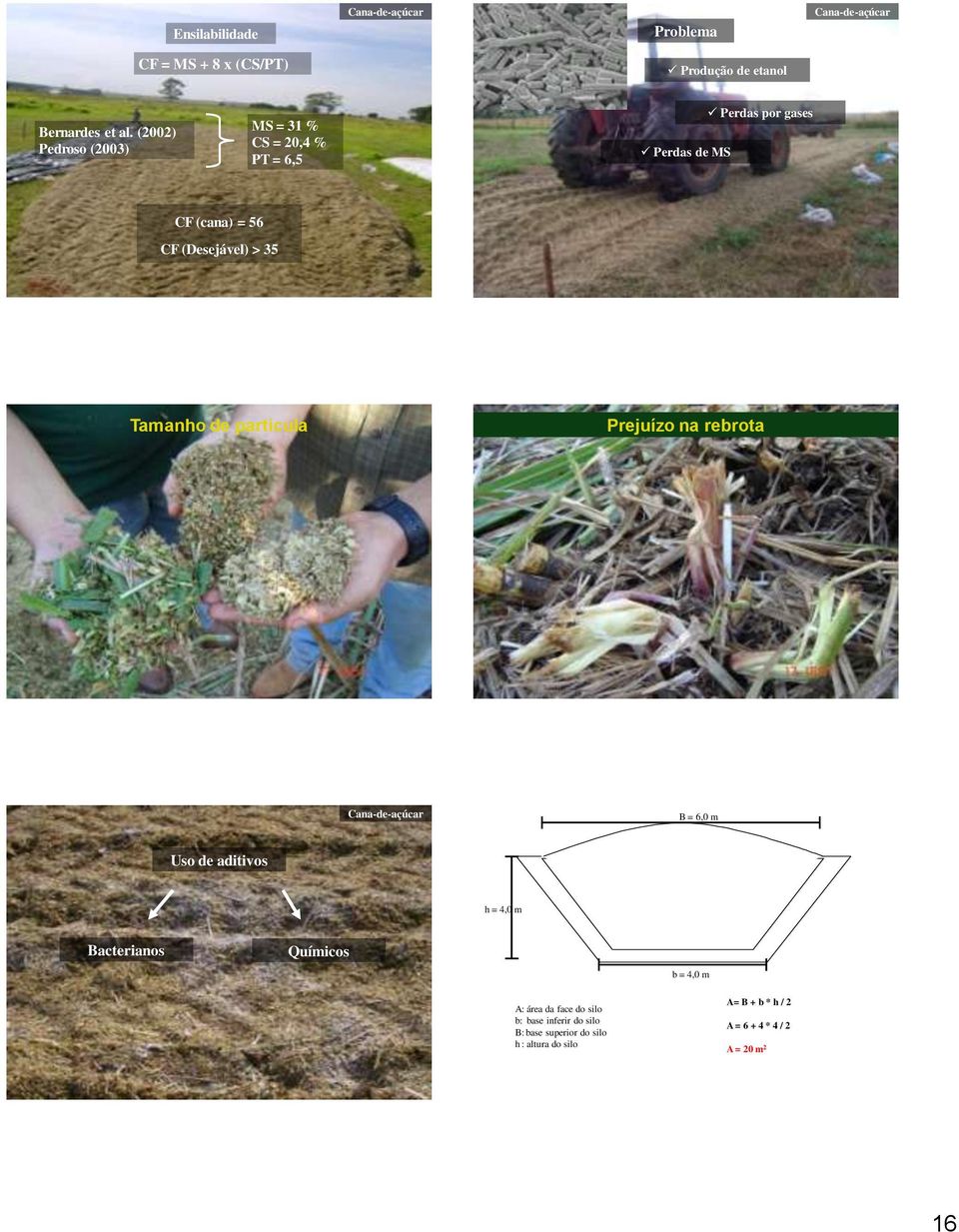 Tamanho de partícula Prejuízo na rebrota Cana-de-açúcar B = 6,0 m Uso de aditivos h = 4,0 m Bacterianos Químicos b = 4,0 m