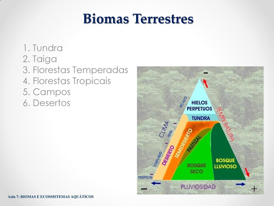 Florestas Temperadas 4.