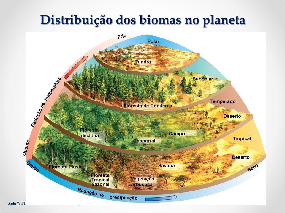 Floresta decídua Chaparral Campo Tropical Deserto