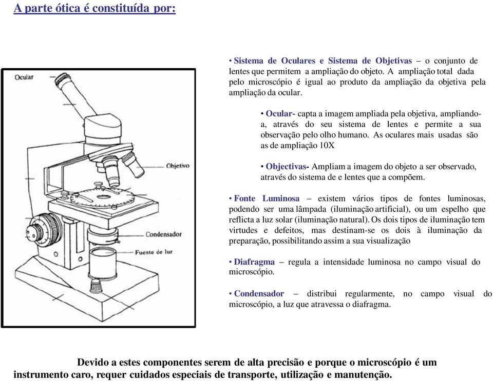 Ocular- capta a imagem ampliada pela objetiva, ampliandoa, através do seu sistema de lentes e permite a sua observação pelo olho humano.