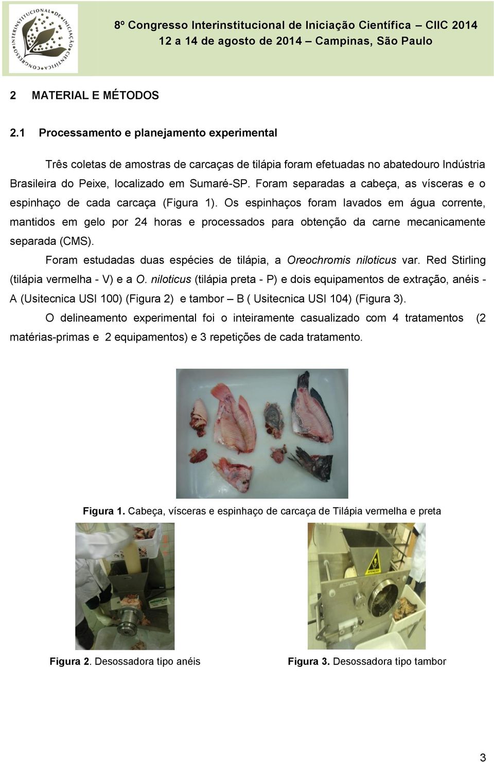 Os espinhaços foram lavados em água corrente, mantidos em gelo por 24 horas e processados para obtenção da carne mecanicamente separada (CMS).