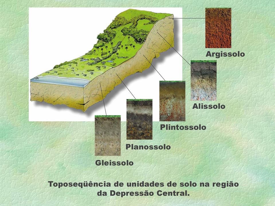 Toposeqüência de unidades de