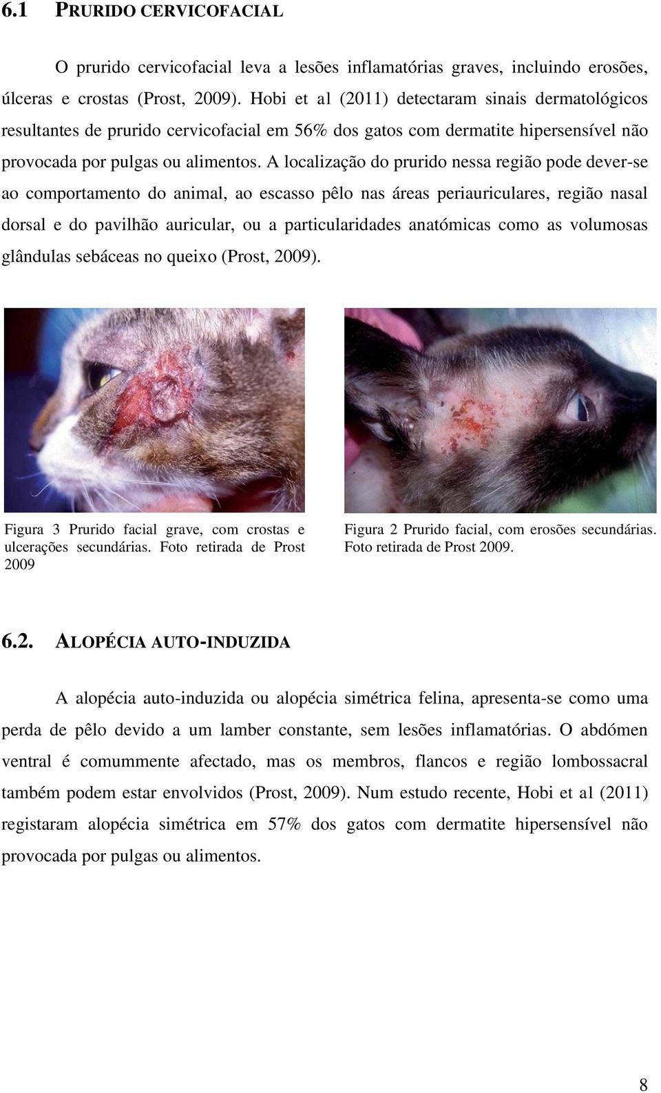 A localização do prurido nessa região pode dever-se ao comportamento do animal, ao escasso pêlo nas áreas periauriculares, região nasal dorsal e do pavilhão auricular, ou a particularidades