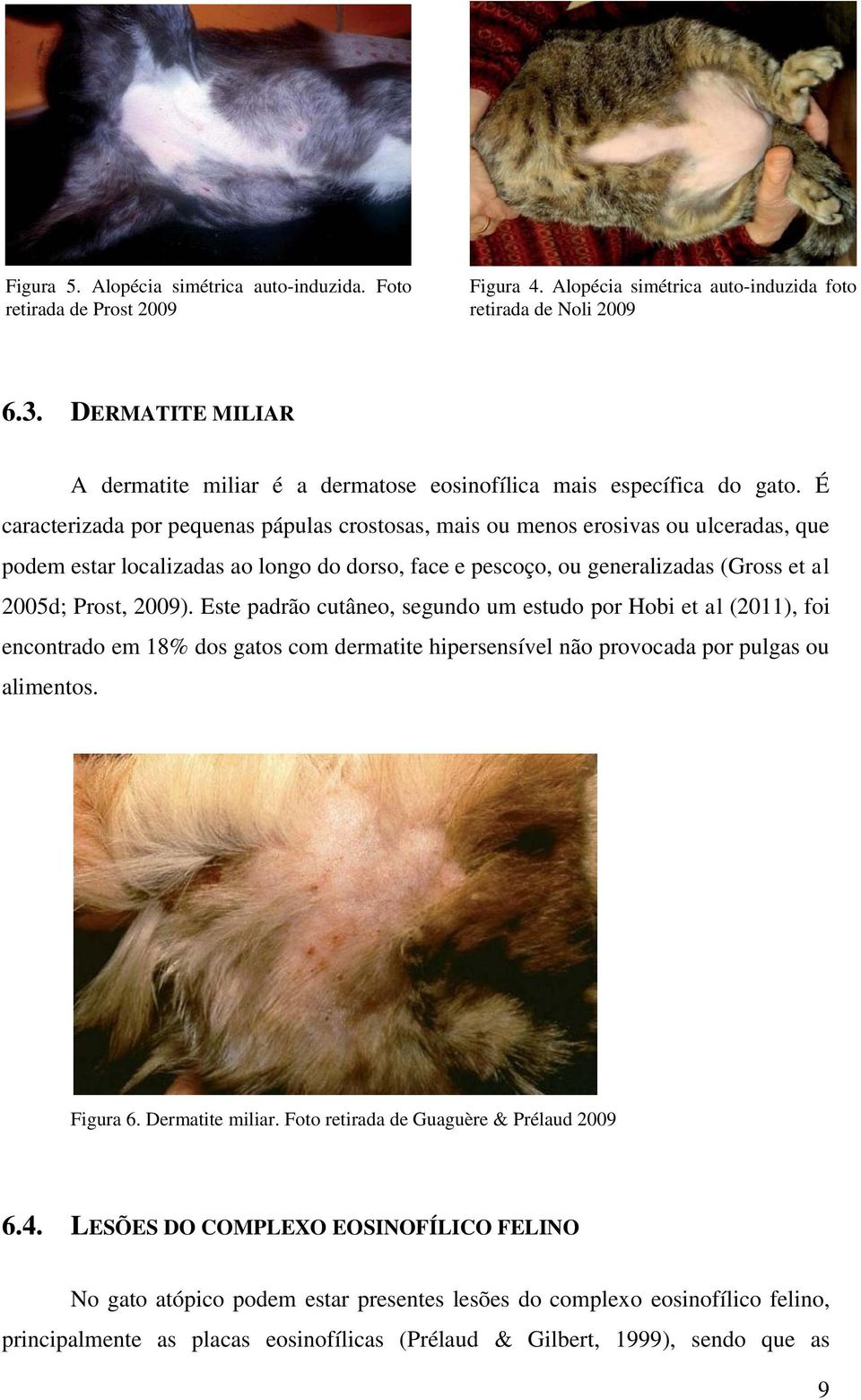 É caracterizada por pequenas pápulas crostosas, mais ou menos erosivas ou ulceradas, que podem estar localizadas ao longo do dorso, face e pescoço, ou generalizadas (Gross et al 2005d; Prost, 2009).