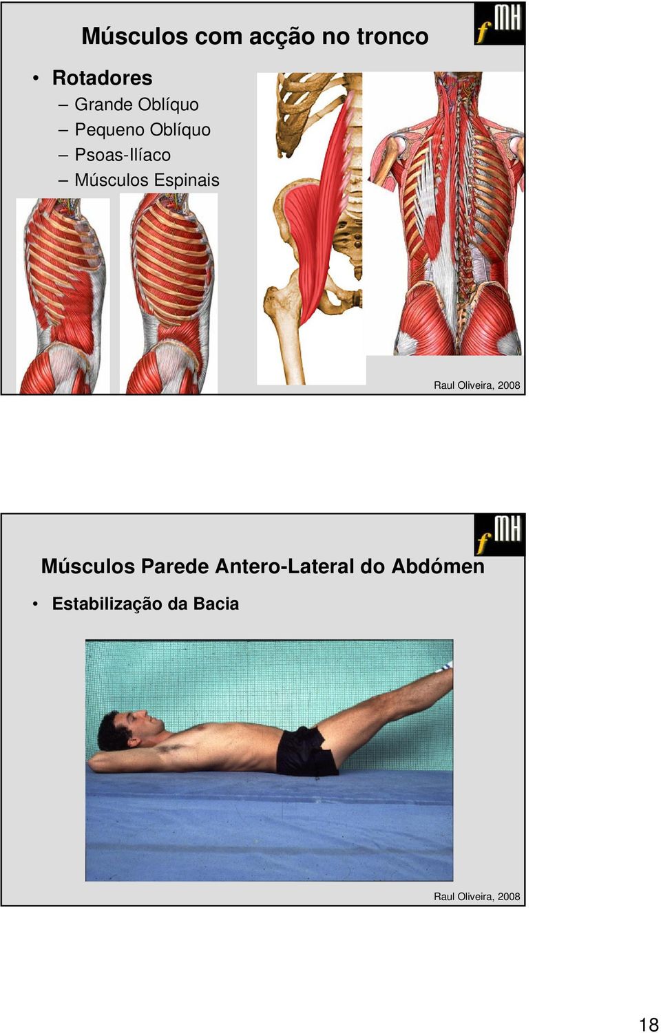 Psoas-Ilíaco Músculos Espinais Músculos