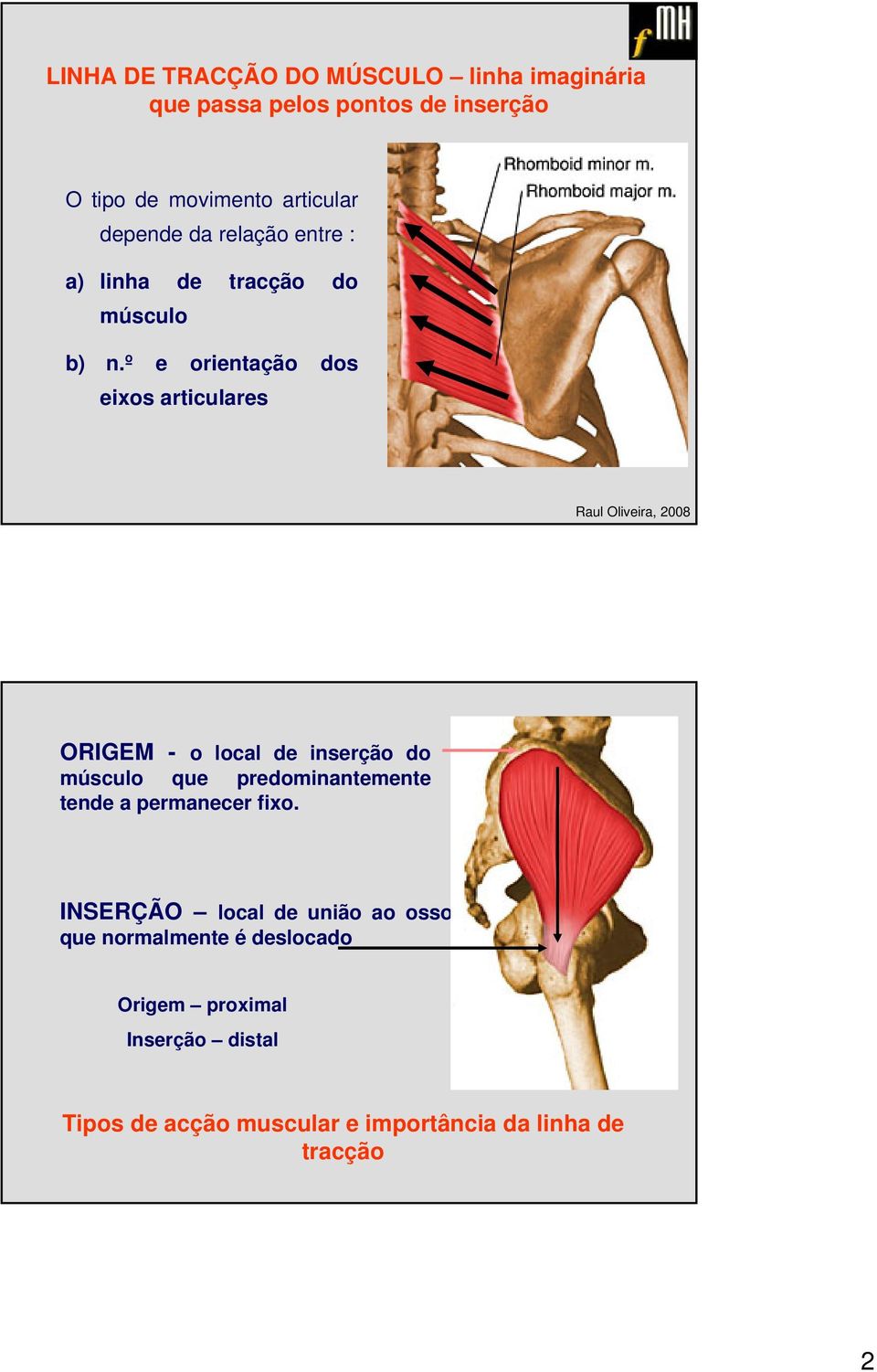 º e orientação dos eixos articulares ORIGEM - o local de inserção do músculo que predominantemente tende a