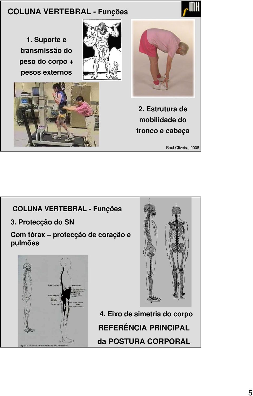 Estrutura de mobilidade do tronco e cabeça COLUNA VERTEBRAL - Funções 3.