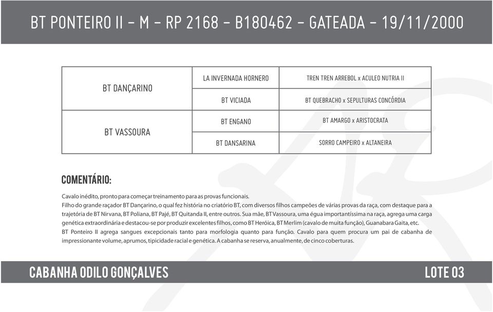 Filho do grande raçador BT Dançarino, o qual fez história no criatório BT, com diversos filhos campeões de várias provas da raça, com destaque para a trajetória de BT Nirvana, BT Poliana, BT Pajé, BT