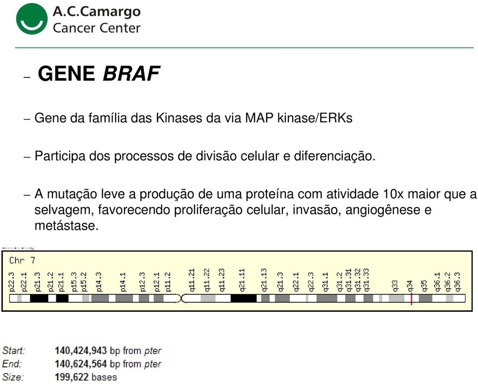 A mutação leve a produção de uma proteína com atividade 10x maior