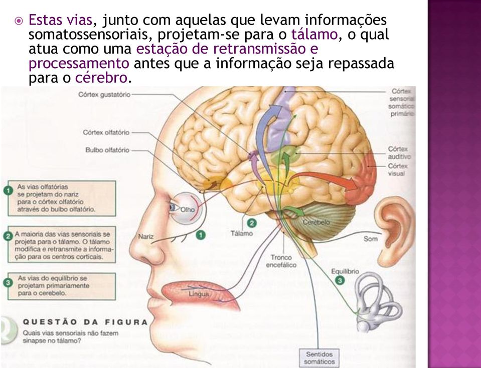 atua como uma estação de retransmissão e