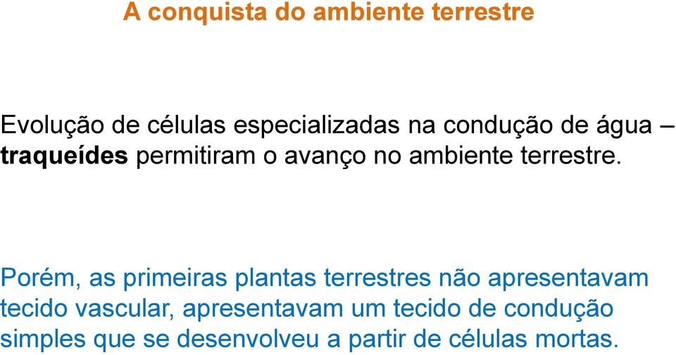 Porém, as primeiras plantas terrestres não apresentavam tecido vascular,