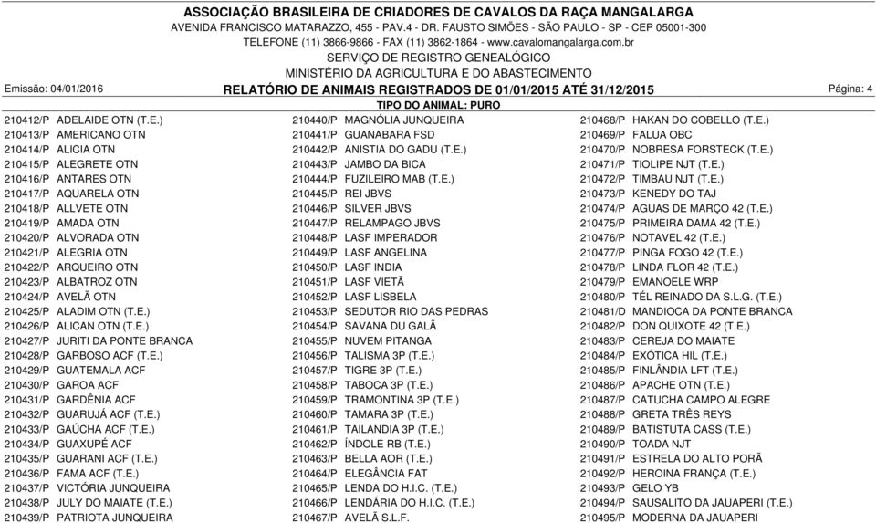 E.) 210419/P AMADA OTN 210447/P RELAMPAGO JBVS 210475/P PRIMEIRA DAMA 42 (T.E.) 210420/P ALVORADA OTN 210448/P LASF IMPERADOR 210476/P NOTAVEL 42 (T.E.) 210421/P ALEGRIA OTN 210449/P LASF ANGELINA 210477/P PINGA FOGO 42 (T.