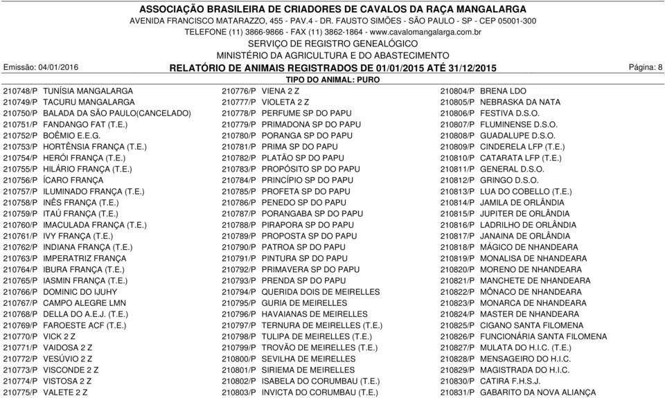 S.O. 210752/P BOÊMIO E.E.G. 210780/P PORANGA SP DO PAPU 210808/P GUADALUPE D.S.O. 210753/P HORTÊNSIA FRANÇA (T.E.) 210781/P PRIMA SP DO PAPU 210809/P CINDERELA LFP (T.E.) 210754/P HERÓI FRANÇA (T.E.) 210782/P PLATÃO SP DO PAPU 210810/P CATARATA LFP (T.