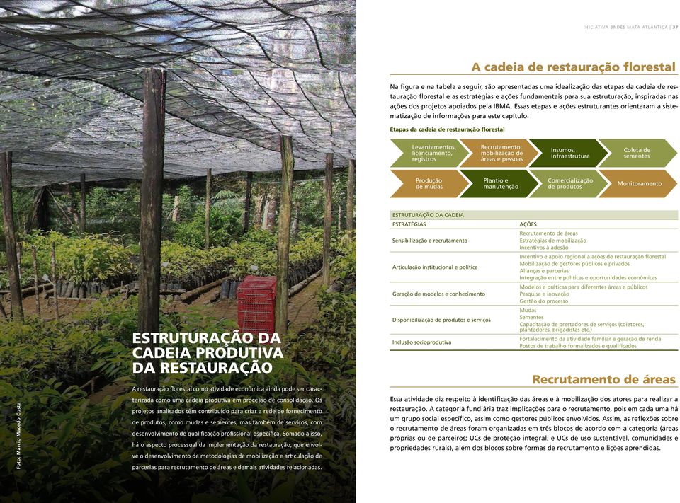 Essas etapas e ações estruturantes orientaram a sistematização de informações para este capítulo.