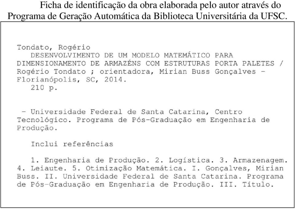 Programa de Geração Automática