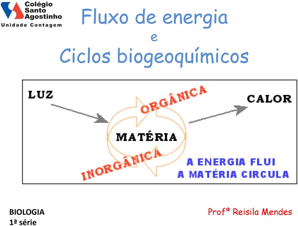 biogeoquímicos
