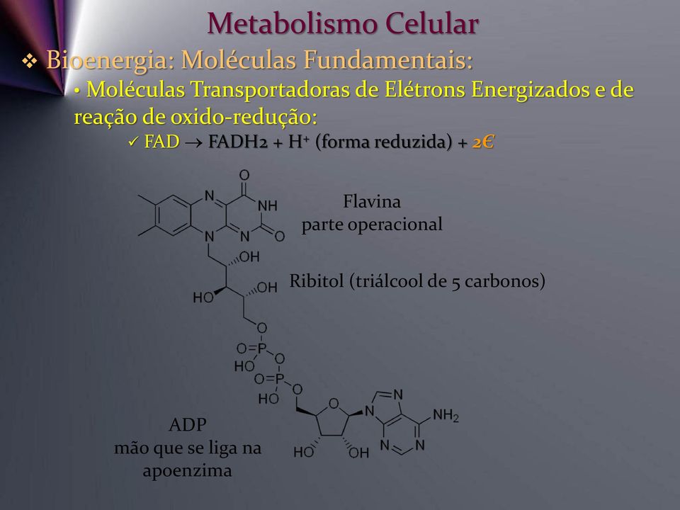 FADH2 + H + (forma reduzida) + 2Є Flavina parte operacional