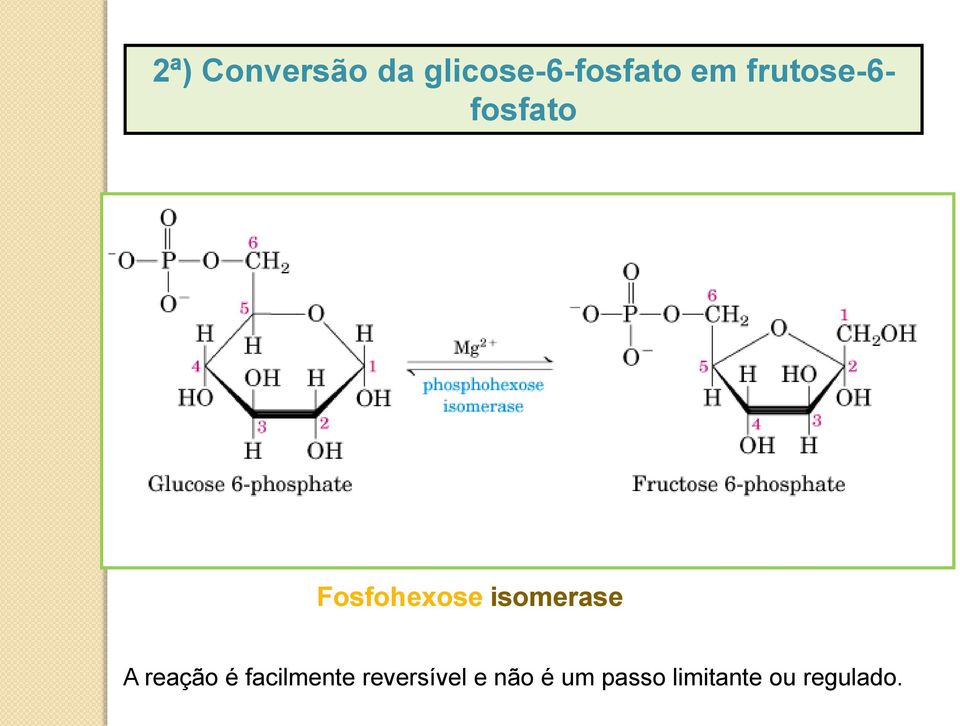 isomerase A reação é facilmente