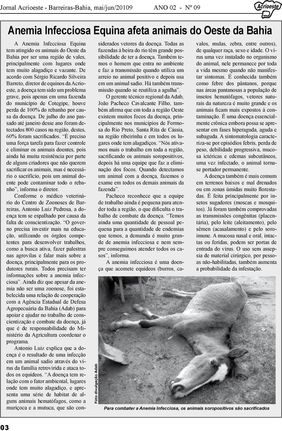 De acordo com Sérgio Ricardo Silveira Barreto, diretor de equinos da Acrioeste, a doença tem sido um problema grave, pois apenas em uma fazenda do município de Cotegipe, houve perda de 100% do