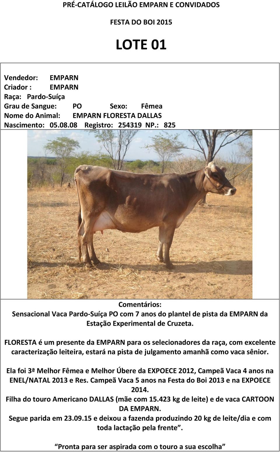 FLORESTA é um presente da EMPARN para os selecionadores da raça, com excelente caracterização leiteira, estará na pista de julgamento amanhã como vaca sênior.
