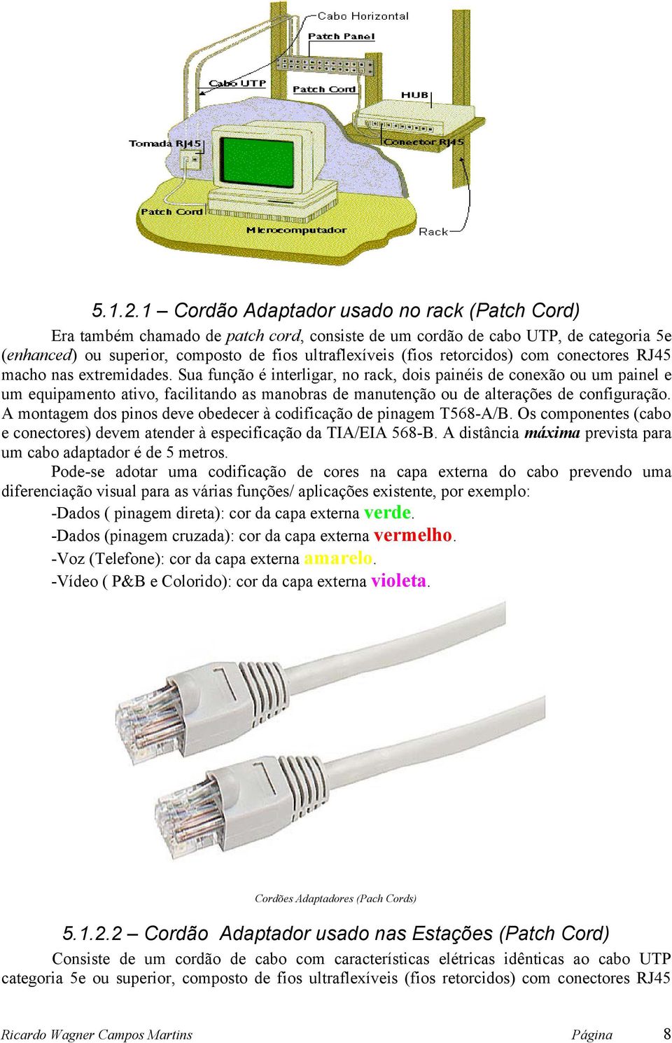 retorcidos) com conectores RJ45 macho nas extremidades.