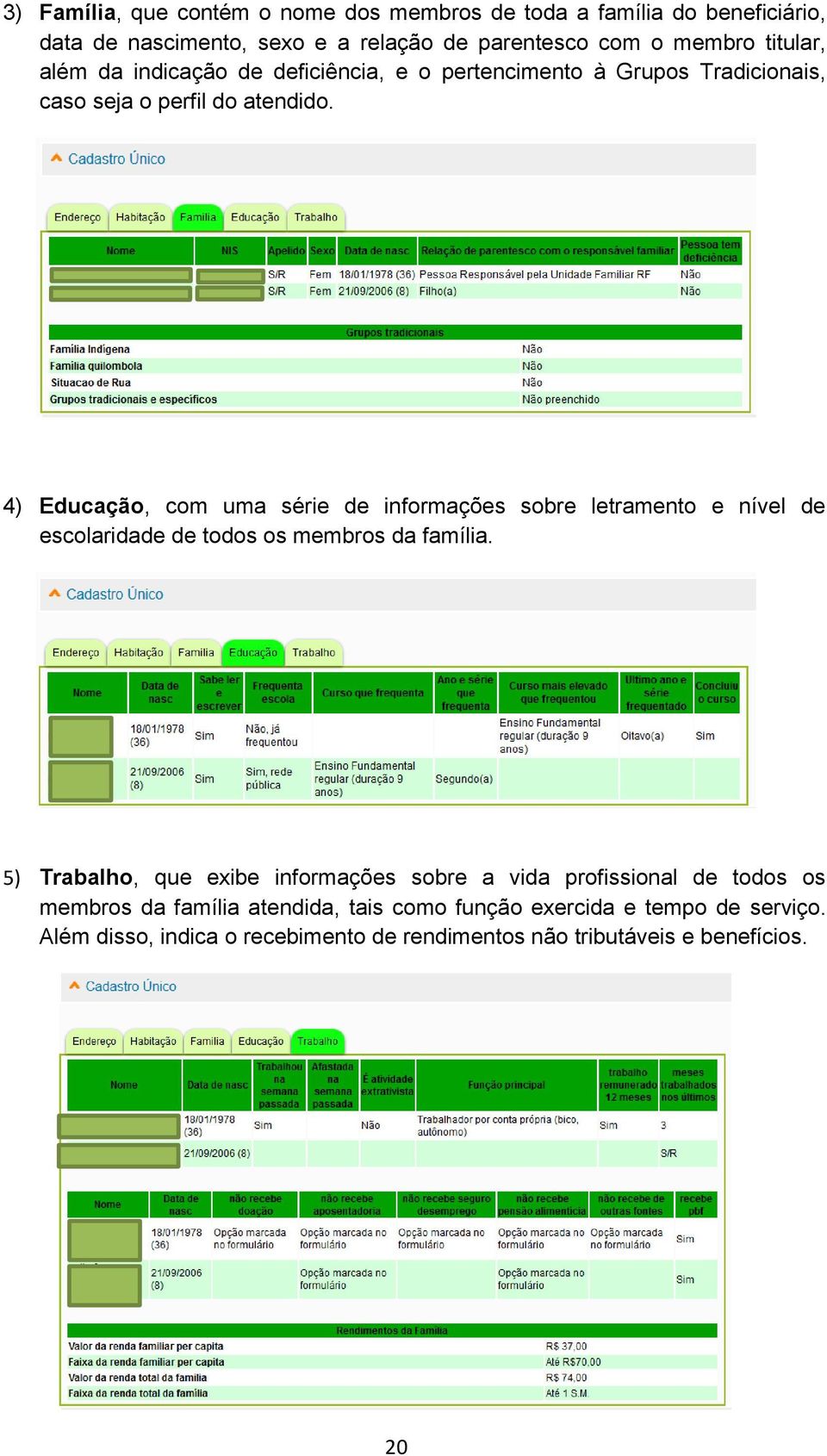 4) Educação, com uma série de informações sobre letramento e nível de escolaridade de todos os membros da família.