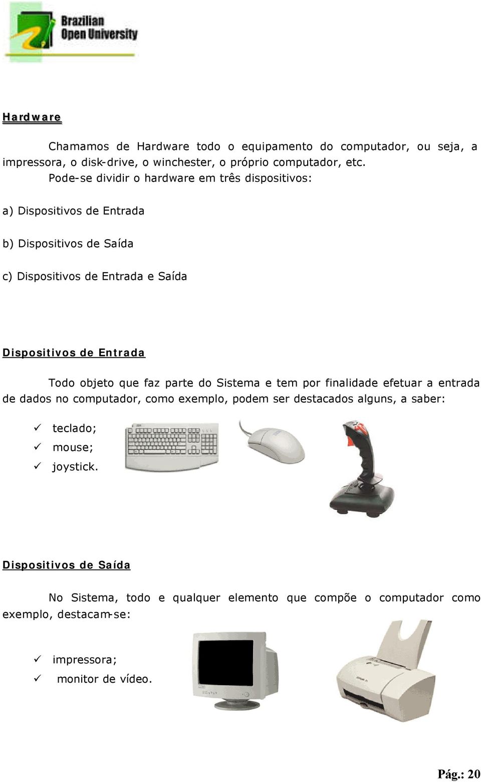 Entrada Todo objeto que faz parte do Sistema e tem por finalidade efetuar a entrada de dados no computador, como exemplo, podem ser destacados alguns, a