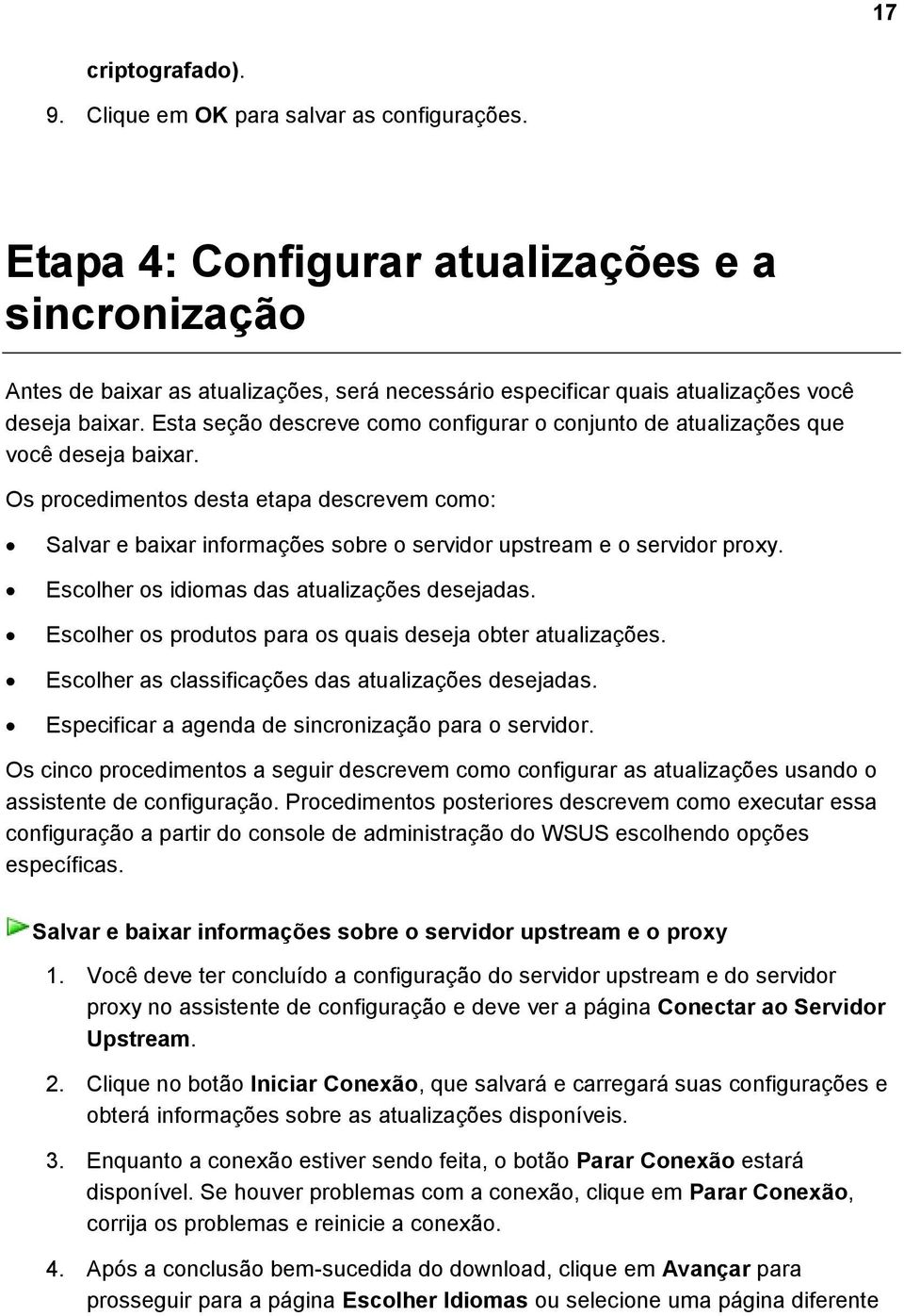 Esta seção descreve como configurar o conjunto de atualizações que você deseja baixar.