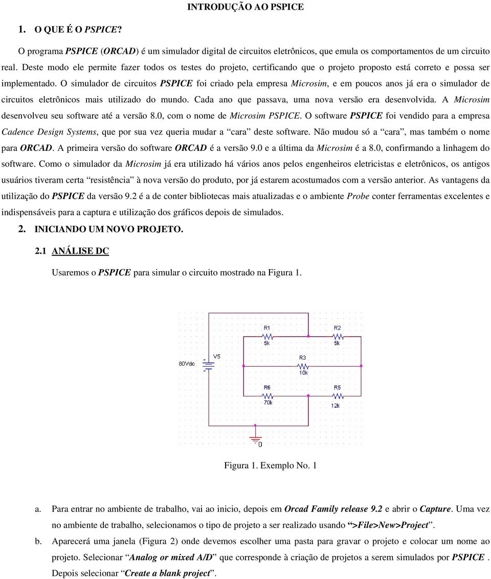 O simulador de circuitos PSPICE foi criado pela empresa Microsim, e em poucos anos já era o simulador de circuitos eletrônicos mais utilizado do mundo.