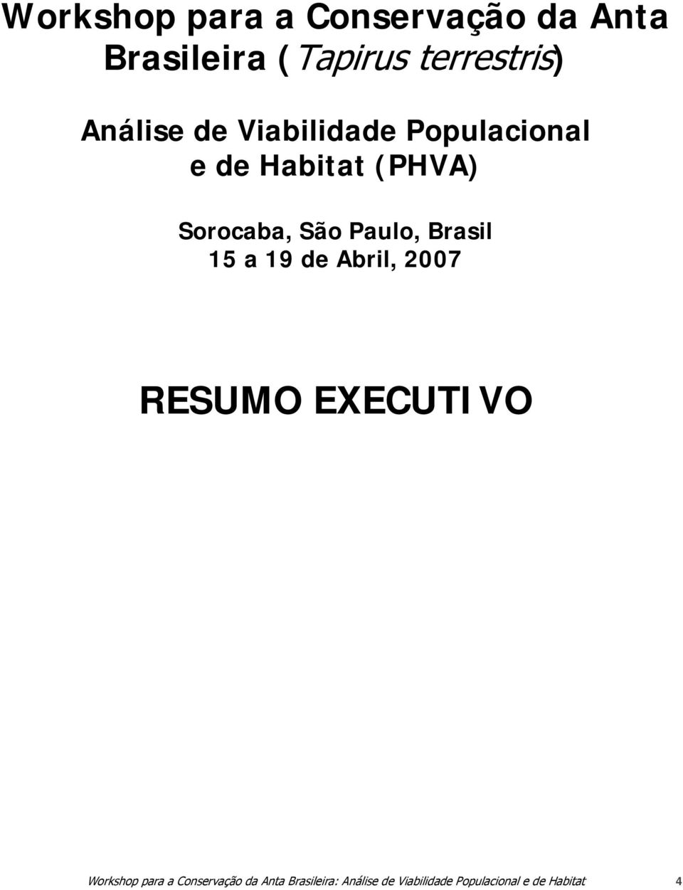 Paulo, Brasil 15 a 19 de Abril, 2007 RESUMO EXECUTIVO Workshop para a
