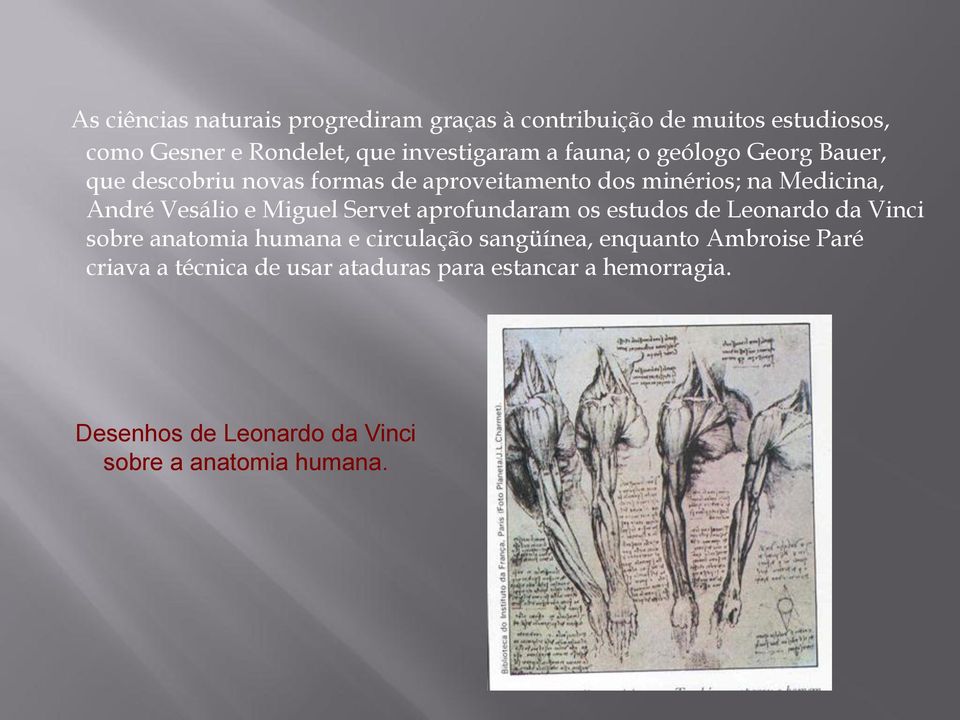 Miguel Servet aprofundaram os estudos de Leonardo da Vinci sobre anatomia humana e circulação sangüínea, enquanto