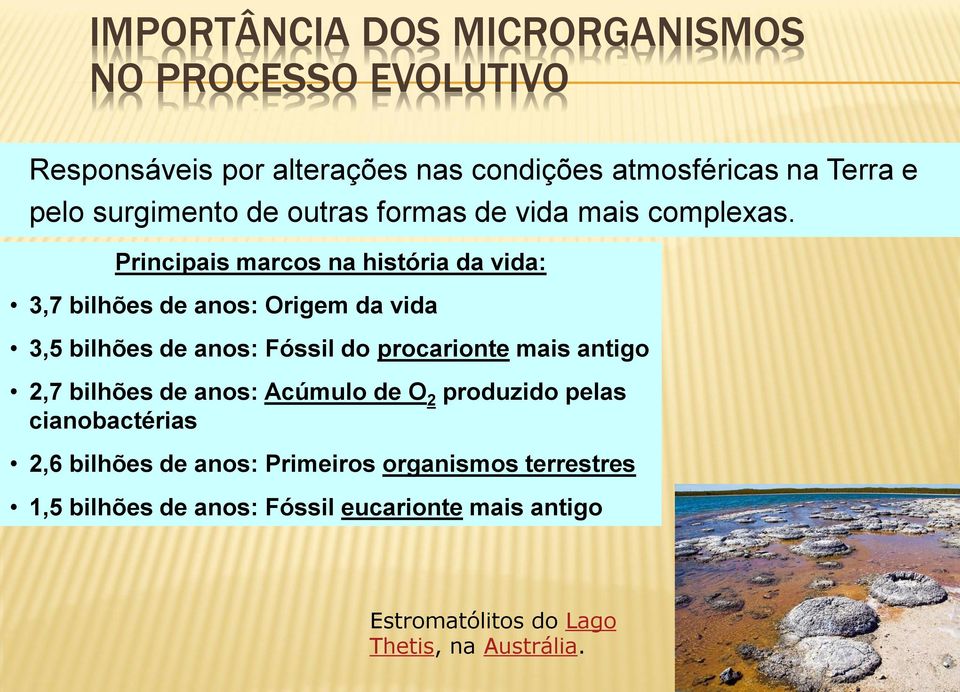 Principais marcos na história da vida: 3,7 bilhões de anos: Origem da vida 3,5 bilhões de anos: Fóssil do procarionte mais antigo