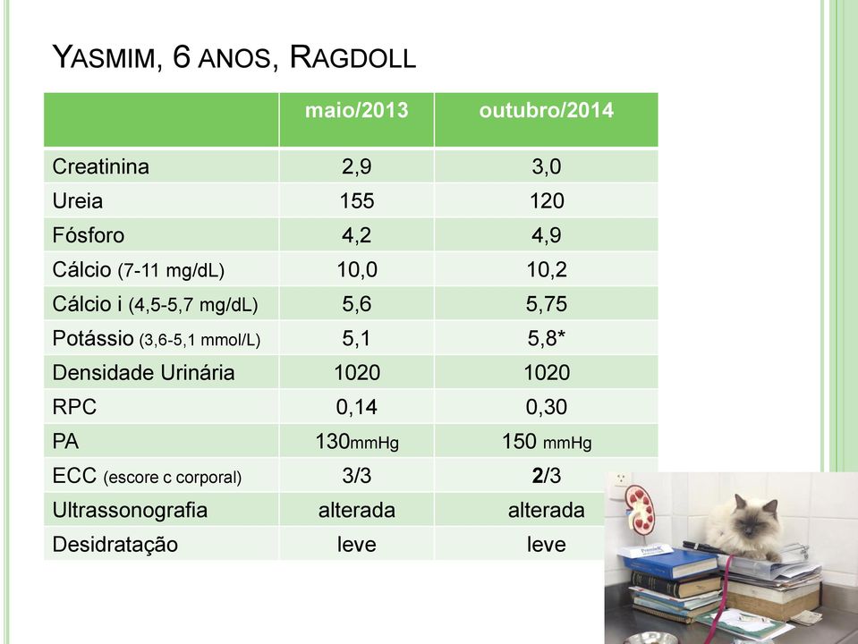 Potássio (3,6-5,1 mmol/l) 5,1 5,8* Densidade Urinária 1020 1020 RPC 0,14 0,30 PA