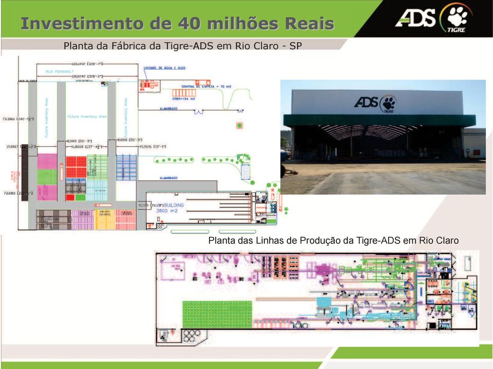 Rio Claro - SP Planta das Linhas