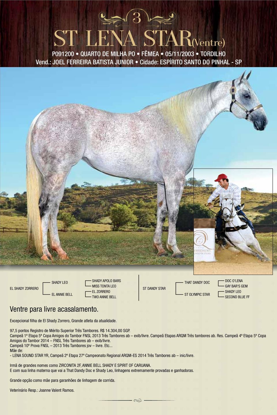 OLYMPIC STAR DOC O'LENA GAY BAR'S GEM SHADY LEO SECOND BLUE FF Ventre para livre acasalamento. Excepcional filha de El Shady Zorrero, Grande atleta da atualidade.