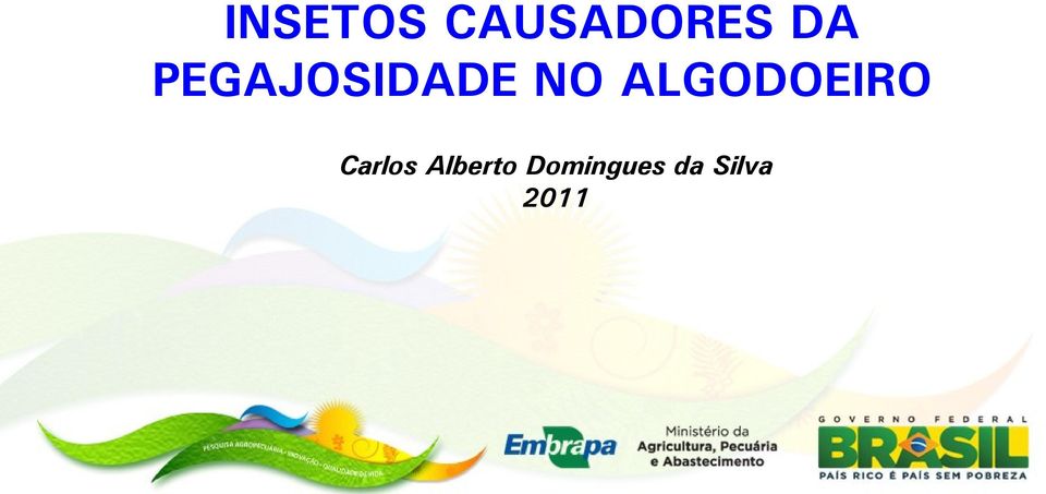 ALGODOEIRO Carlos