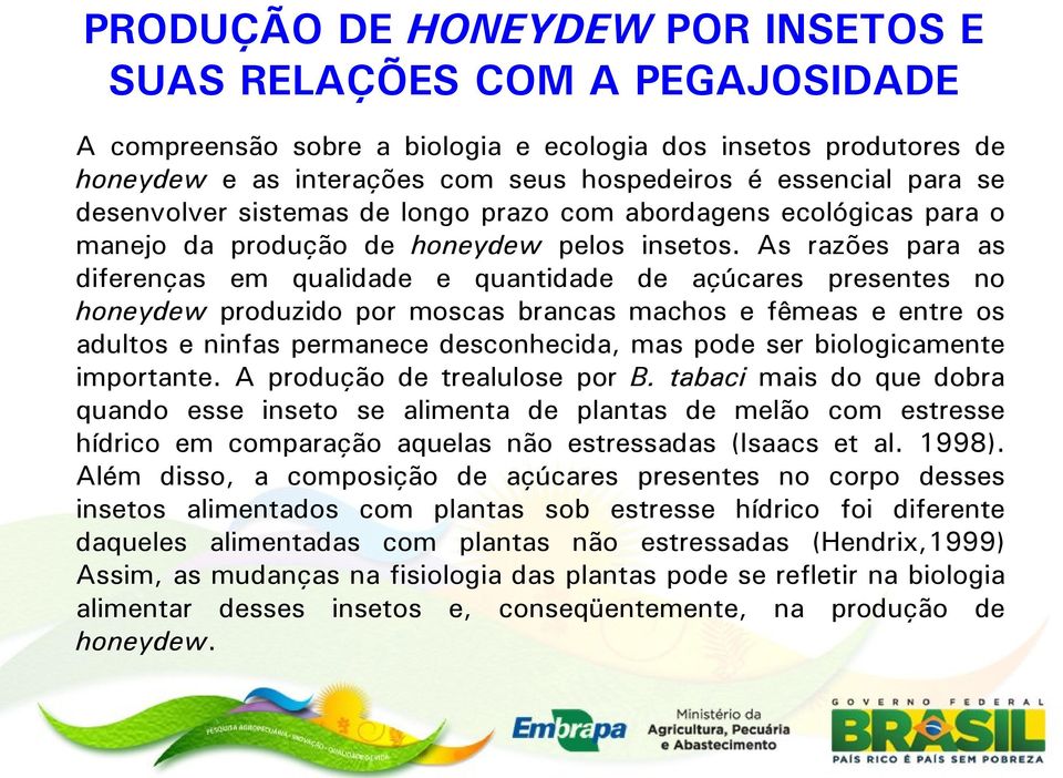 As razões para as diferenças em qualidade e quantidade de açúcares presentes no honeydew produzido por moscas brancas machos e fêmeas e entre os adultos e ninfas permanece desconhecida, mas pode ser