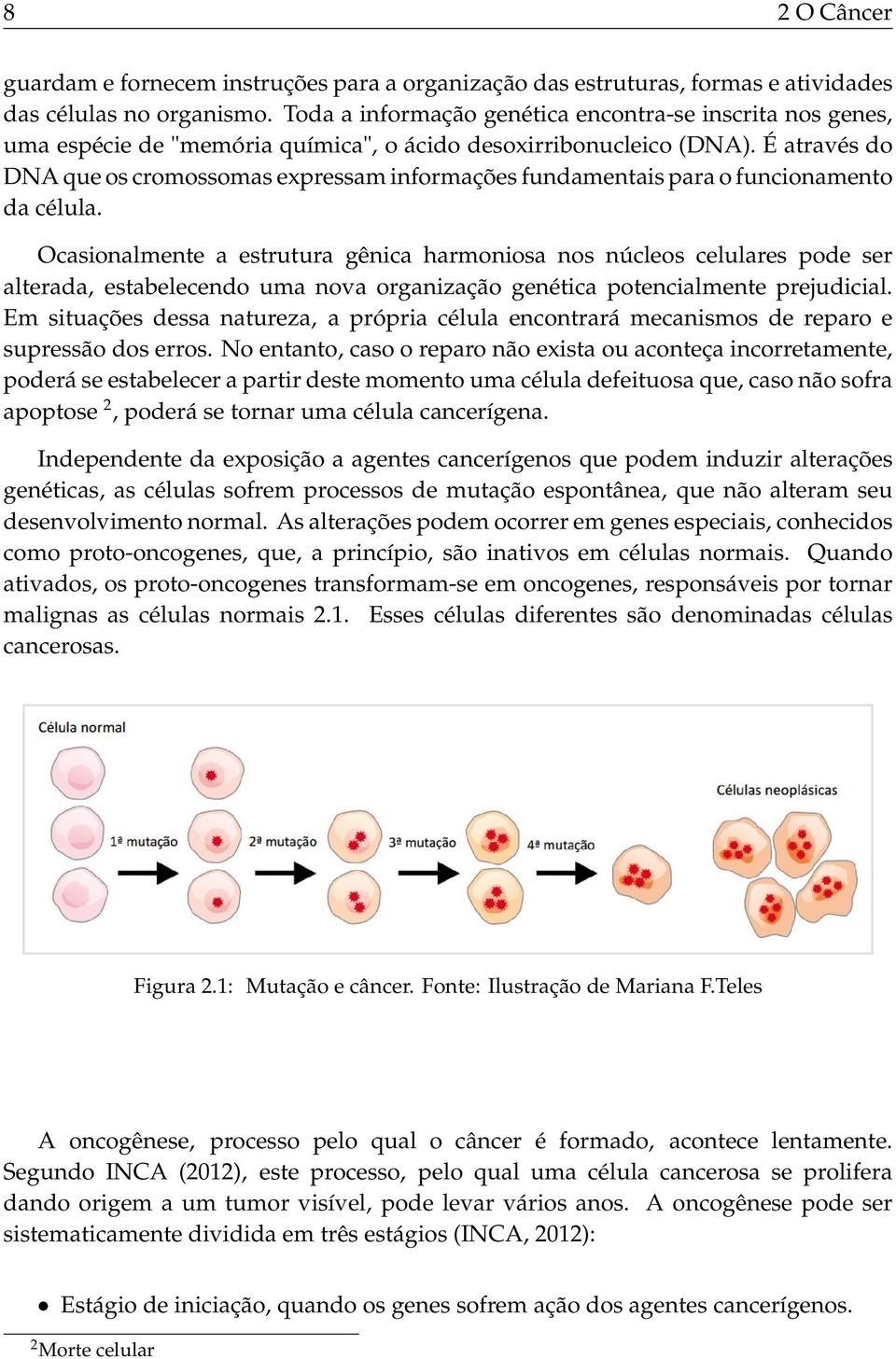 É através do DNA que os cromossomas expressam informações fundamentais para o funcionamento da célula.