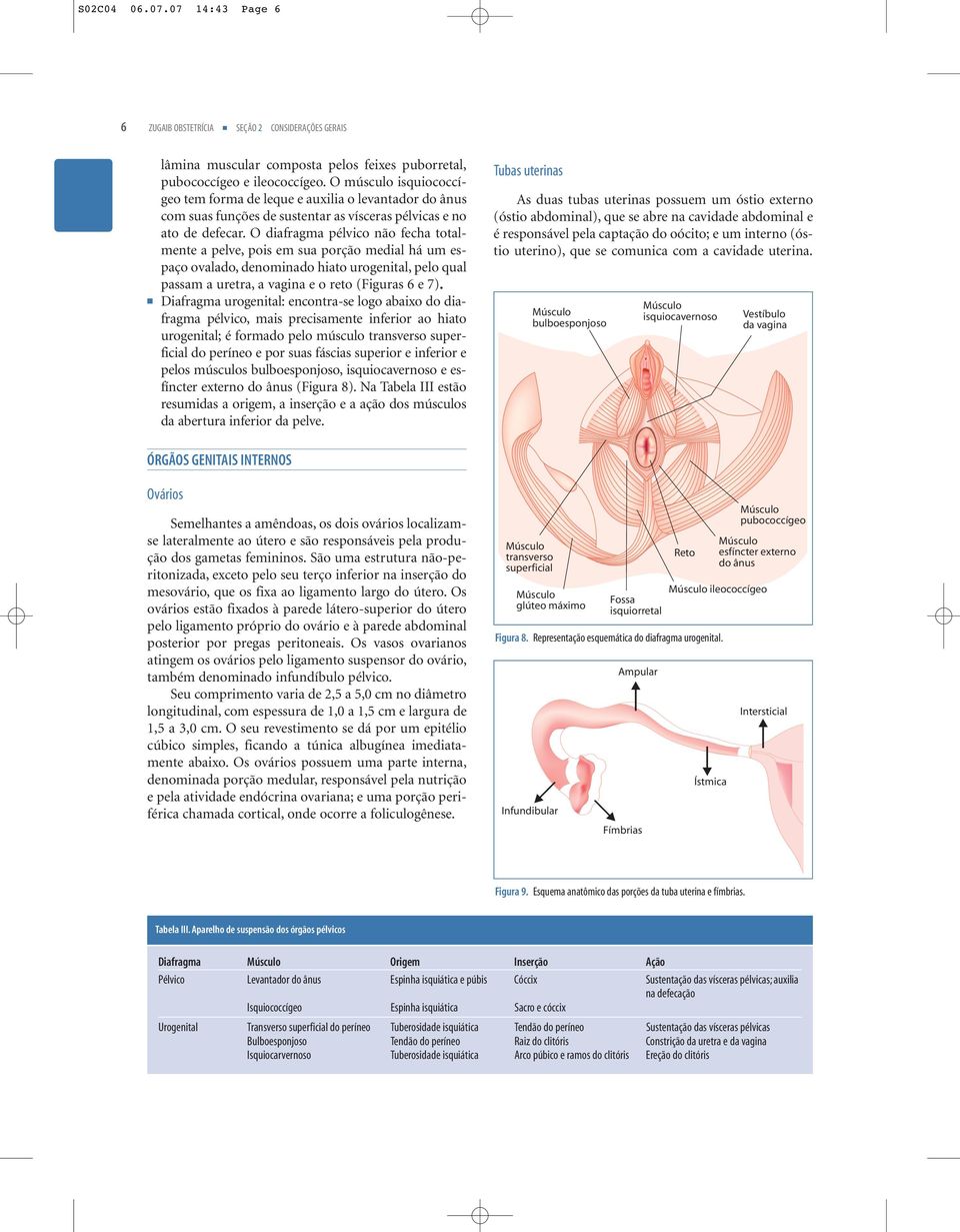 O diafragma pélvico não fecha totalmente a pelve, pois em sua porção medial há um espaço ovalado, denominado hiato urogenital, pelo qual passam a uretra, a vagina e o reto (Figuras 6 e 7).