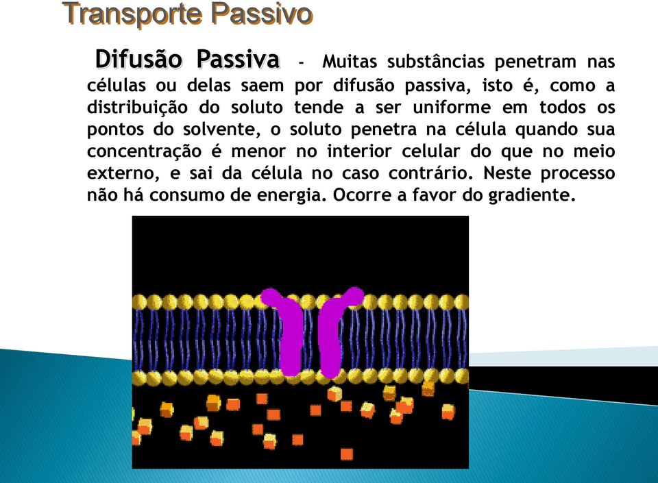 soluto penetra na célula quando sua concentração é menor no interior celular do que no meio externo, e