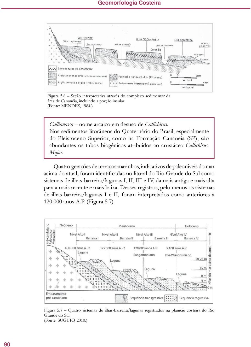 Nos sedimentos litorâneos do Quaternário do Brasil, especialmente do Pleistoceno Superior, como na Formação Cananeia (SP), são abundantes os tubos biogênicos atribuídos ao crustáceo Callichirus.