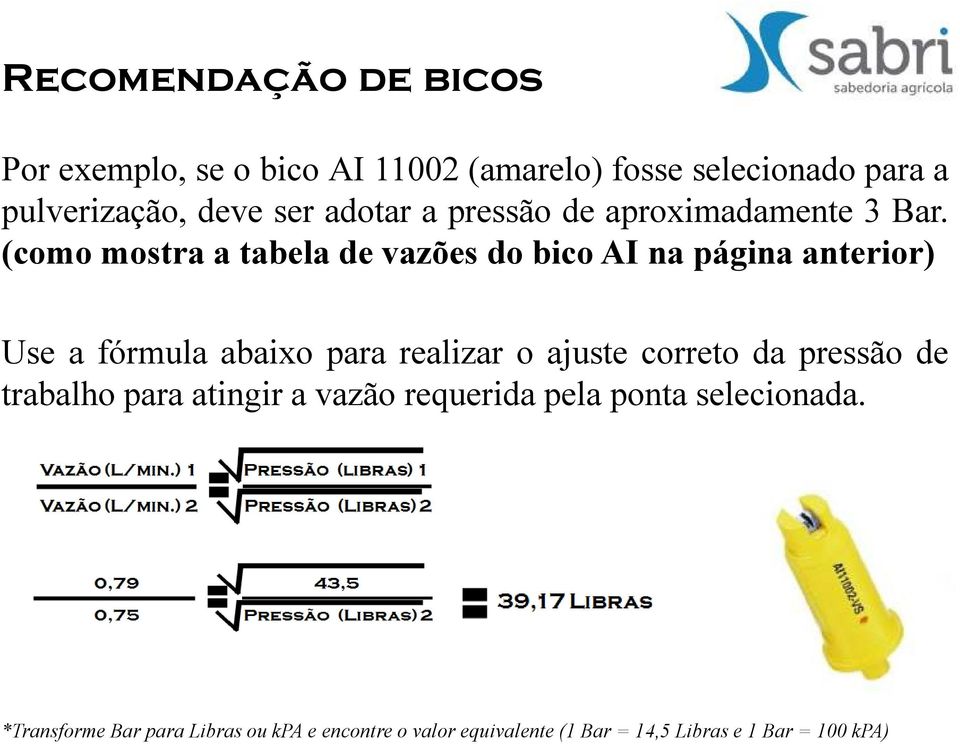 (como mostra a tabela de vazões do bico AI na página anterior) Use a fórmula abaixo para realizar o ajuste