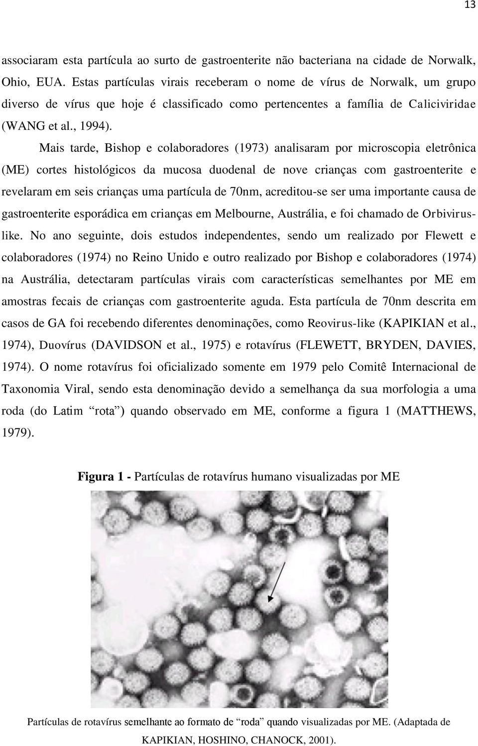 Mais tarde, Bishop e colaboradores (1973) analisaram por microscopia eletrônica (ME) cortes histológicos da mucosa duodenal de nove crianças com gastroenterite e revelaram em seis crianças uma