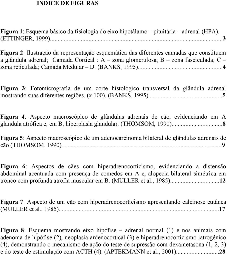 Medular D. (BANKS, 1995)...4 Figura 3: Fotomicrografia de um corte histológico transversal da glândula adrenal mostrando suas diferentes regiões. (x 100). (BANKS, 1995)...5 Figura 4: Aspecto macroscópico de glândulas adrenais de cão, evidenciando em A glandula atrófica e, em B, hiperplasia glandular.