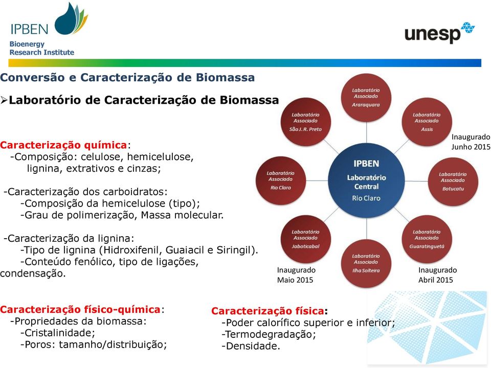 -Caracterização da lignina: -Tipo de lignina (Hidroxifenil, Guaiacil e Siringil). -Conteúdo fenólico, tipo de ligações, condensação.