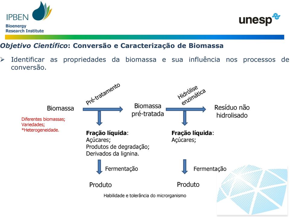 Biomassa pré-tratada Fração líquida: Açúcares; Produtos de degradação; Derivados da lignina.