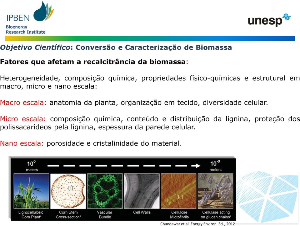 organização em tecido, diversidade celular.