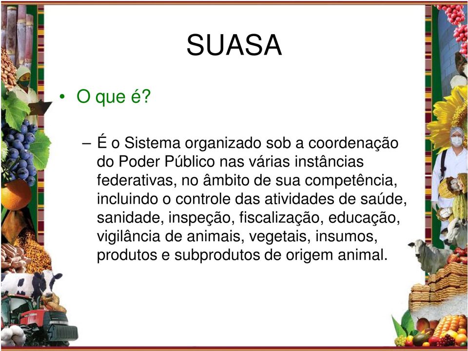 instâncias federativas, no âmbito de sua competência, incluindo o controle